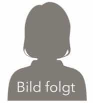 Es folgt ein Bild
